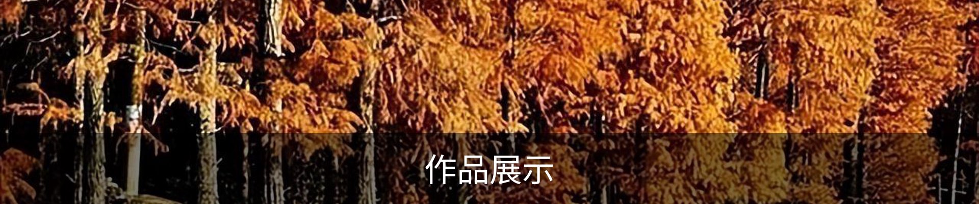 作品展示
